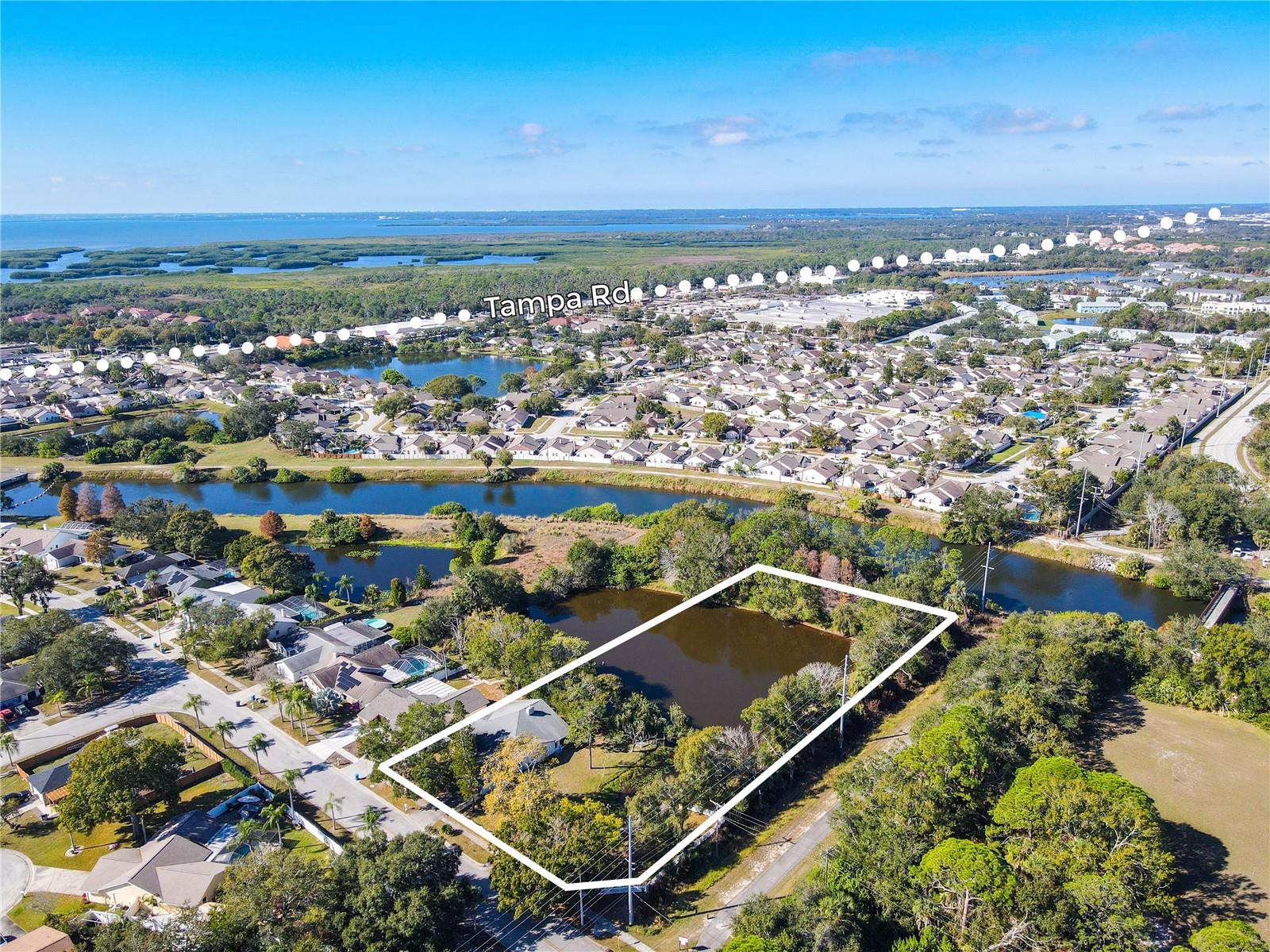 Side aerial overview showing the property boundary with its expansive pond, lush tree canopy, and prime Bay Port Colony location near Tampa Bay, wetlands, and major routes.