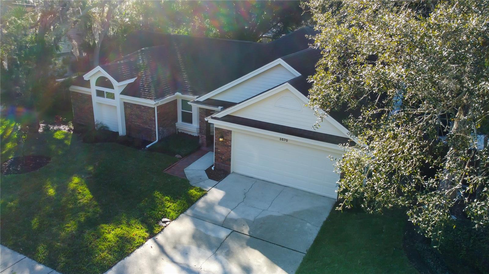 3. Morning Sun Illustrates the Gorgeous Shade Trees that Help Cut Cooling Costs in Florida Summers!