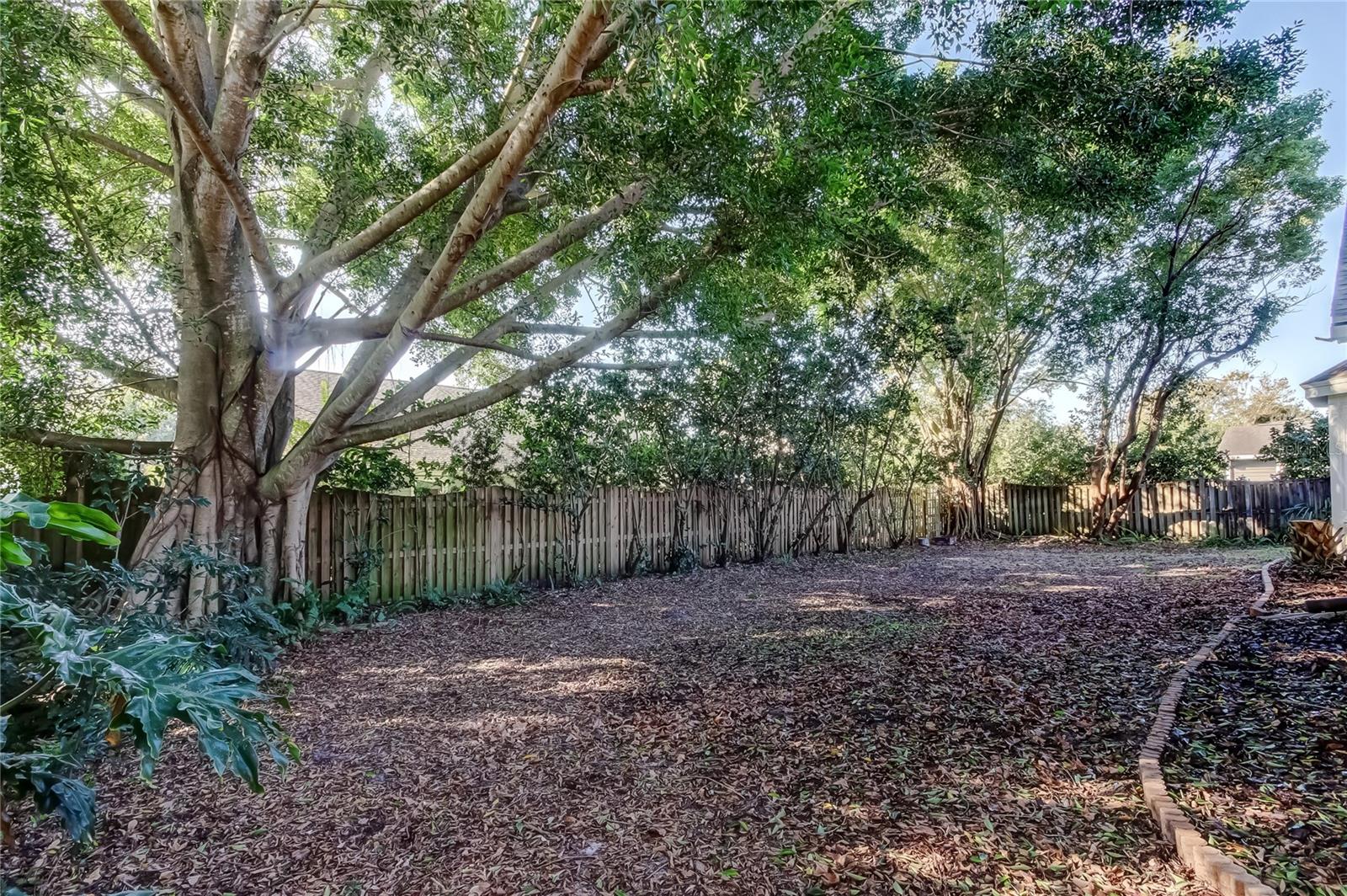 50. FULLY Fenced in Backyard is Private.. Banyan Trees in the Corners are GORGEOUS!
