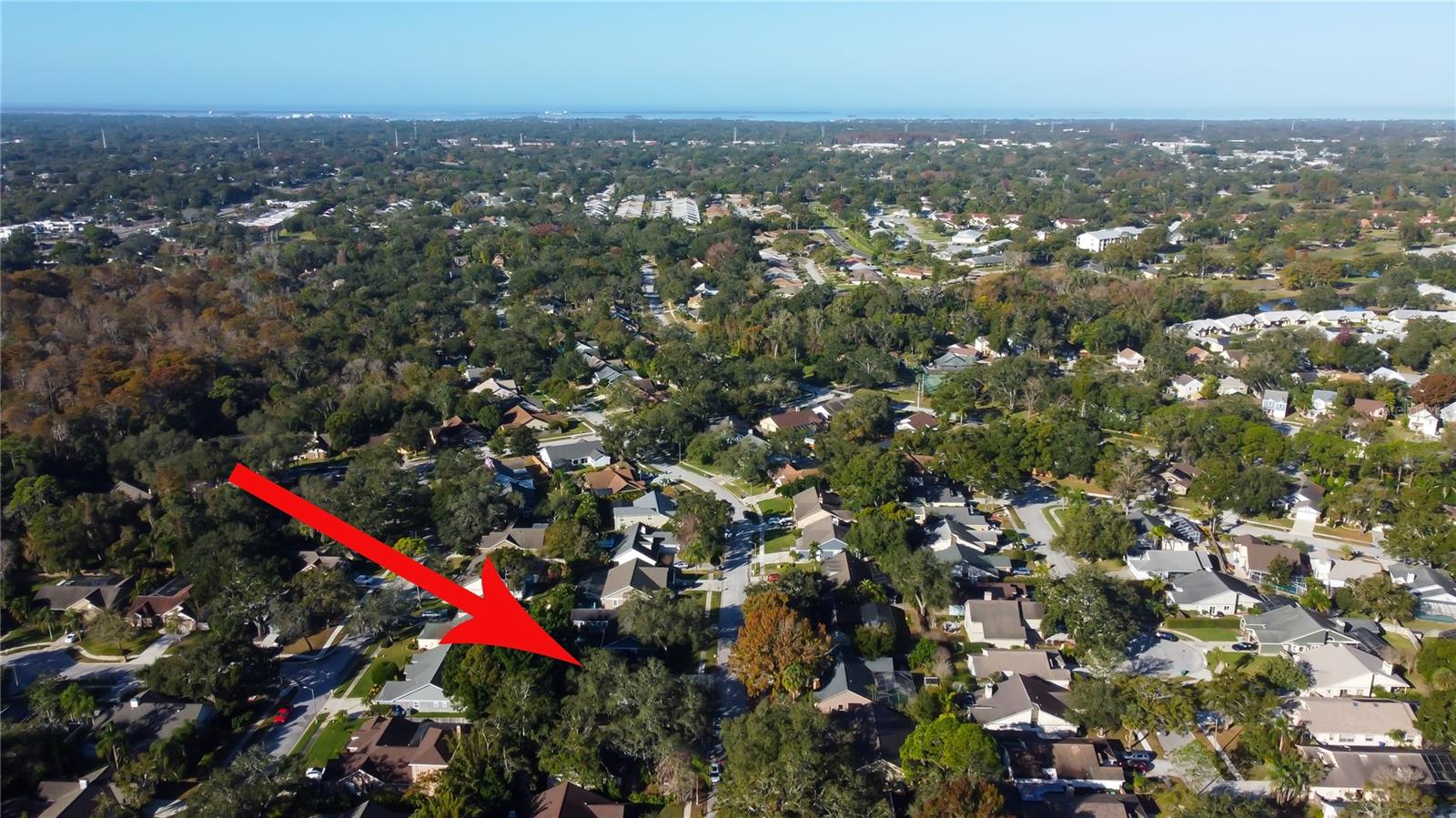 58. Aerial View Shows Lake Tarpon, Upper Tampa Bay & Adjoining Communities + Lots of TREES!!