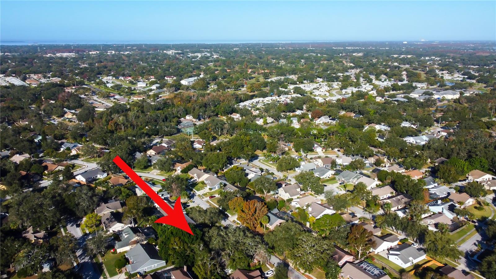 59. Aerial View Shows Lake Tarpon, Upper Tampa Bay & Adjoining Communities + Lots of TREES!!