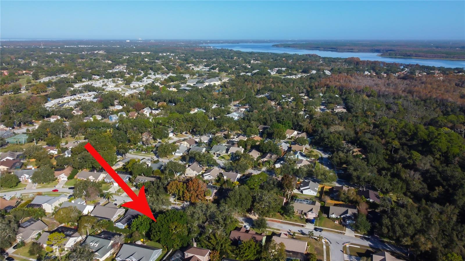 60. Aerial View Shows Lake Tarpon, Upper Tampa Bay & Adjoining Communities + Lots of TREES!!