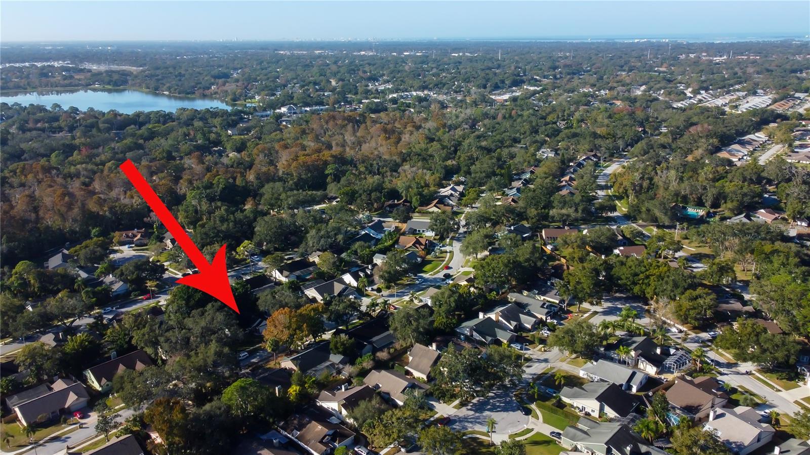 63. Aerial View Shows Lake Tarpon, Upper Tampa Bay & Adjoining Communities + Lots of TREES!!