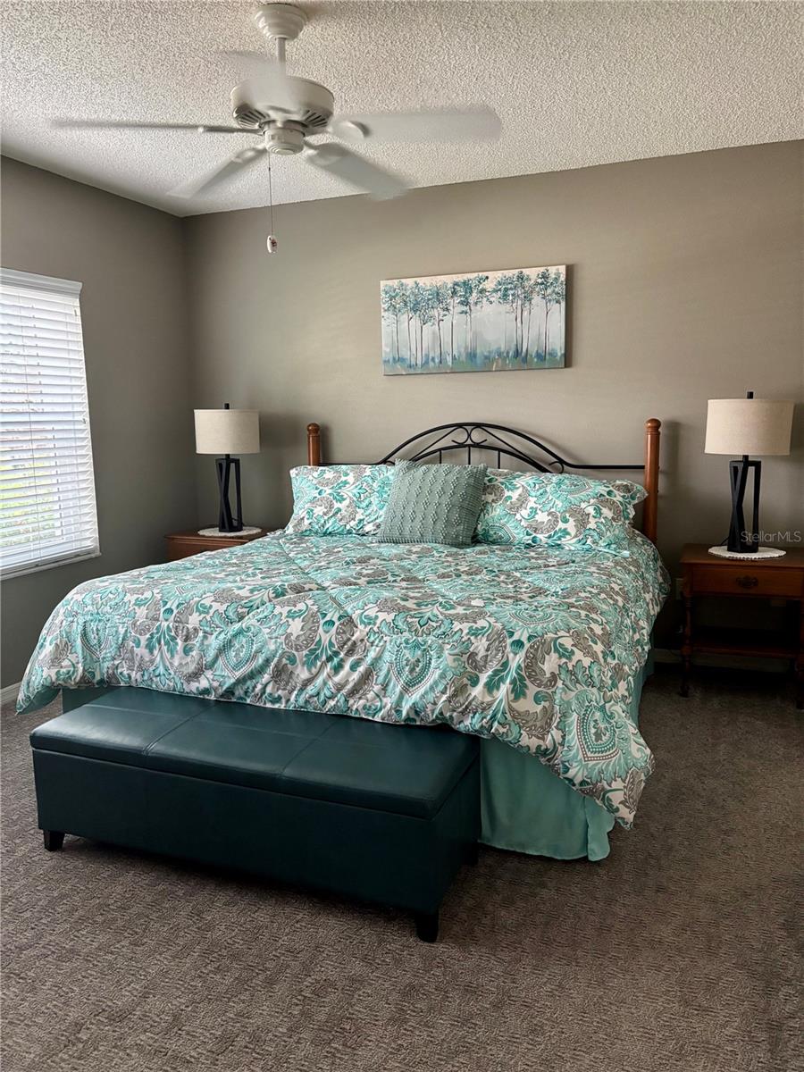 Spacious Master/Primary bedroom with walk-in closet!