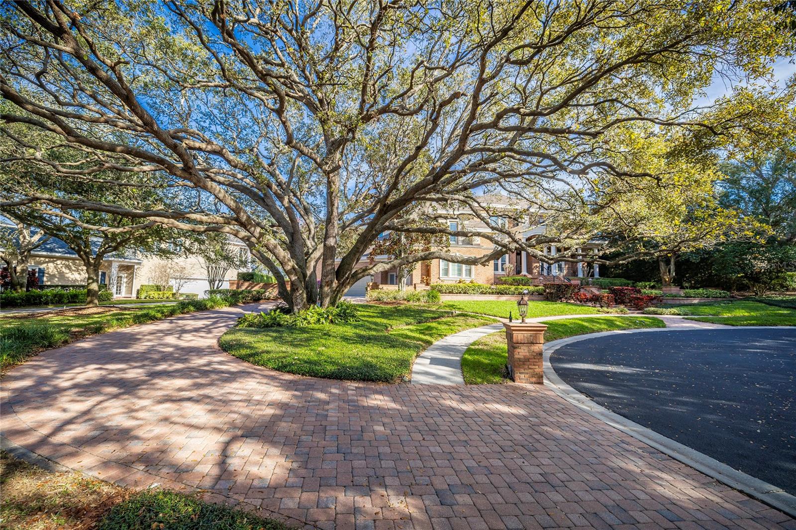 Long driveway wraps around this magnificant oak tree on the property. All new outdoor landscape lighting system in 2025.