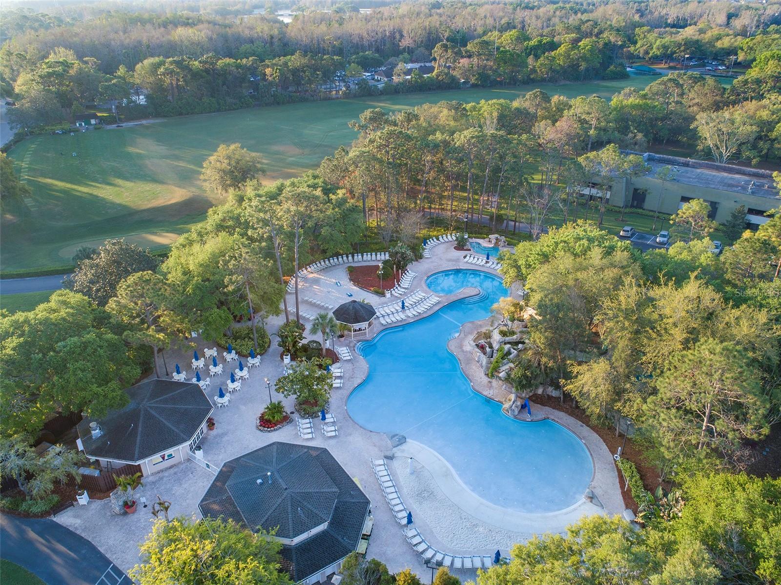 Loch Ness pool in Innisbrook Resort