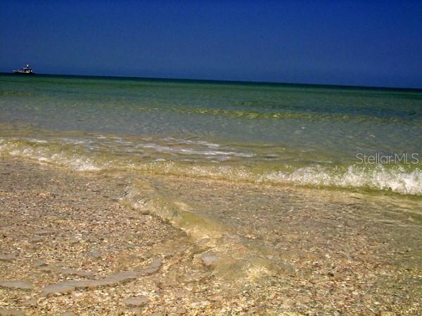Honeymoon Island beach