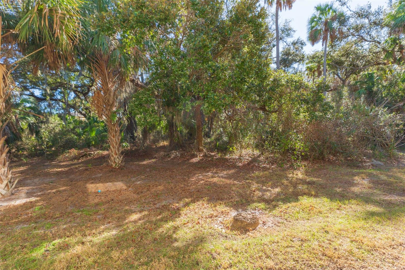 Private view behind the home