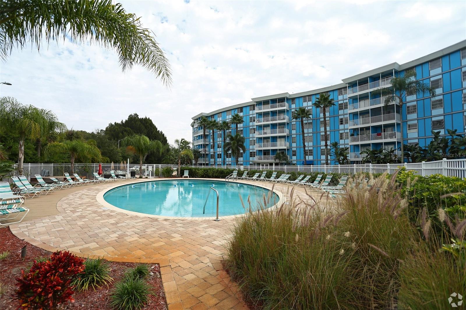 Pool and lounge area