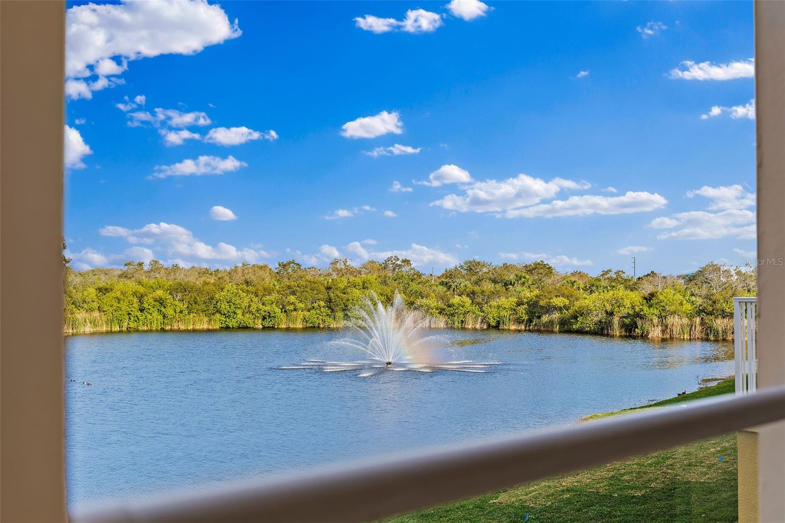 View of Nature Preserve