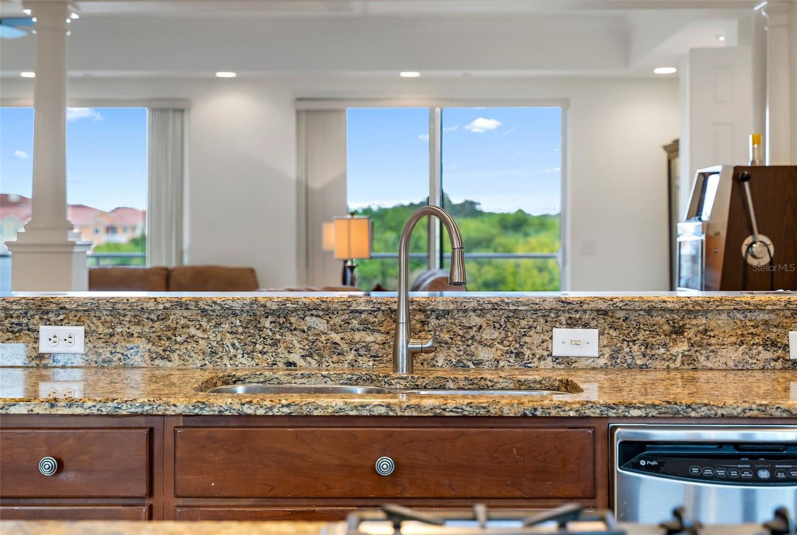 View of Nature Preserve from Kitchen