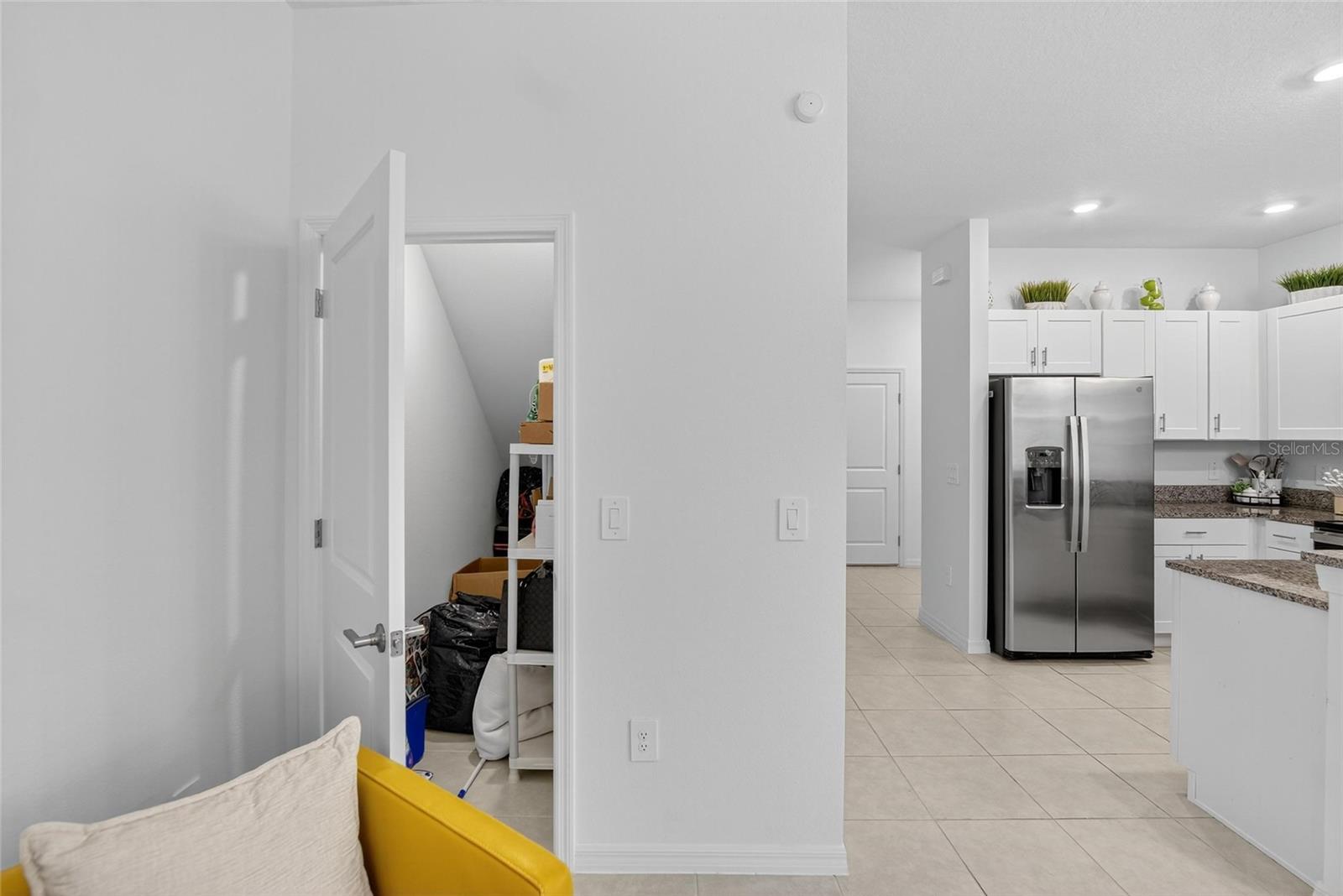 Under the stairs "hidden" storage room