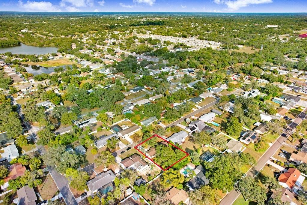 Ariel View of Neighborhood