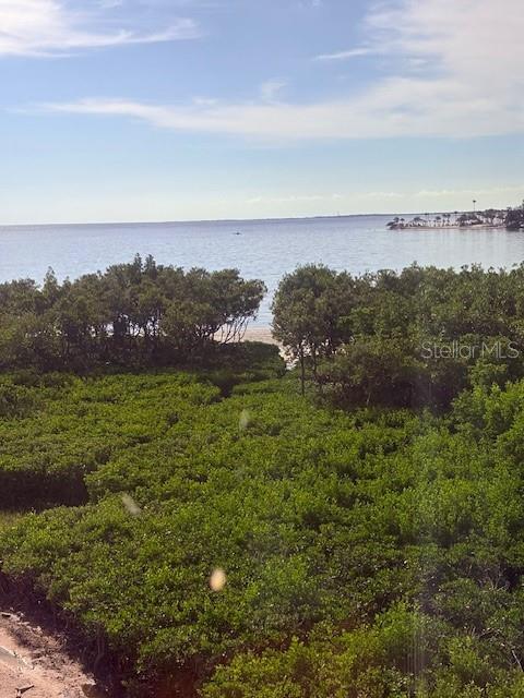 Seller Captured View from Primary Bedroom