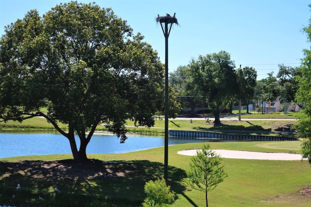 Waterhole, sandpit and nature All in one Hole!