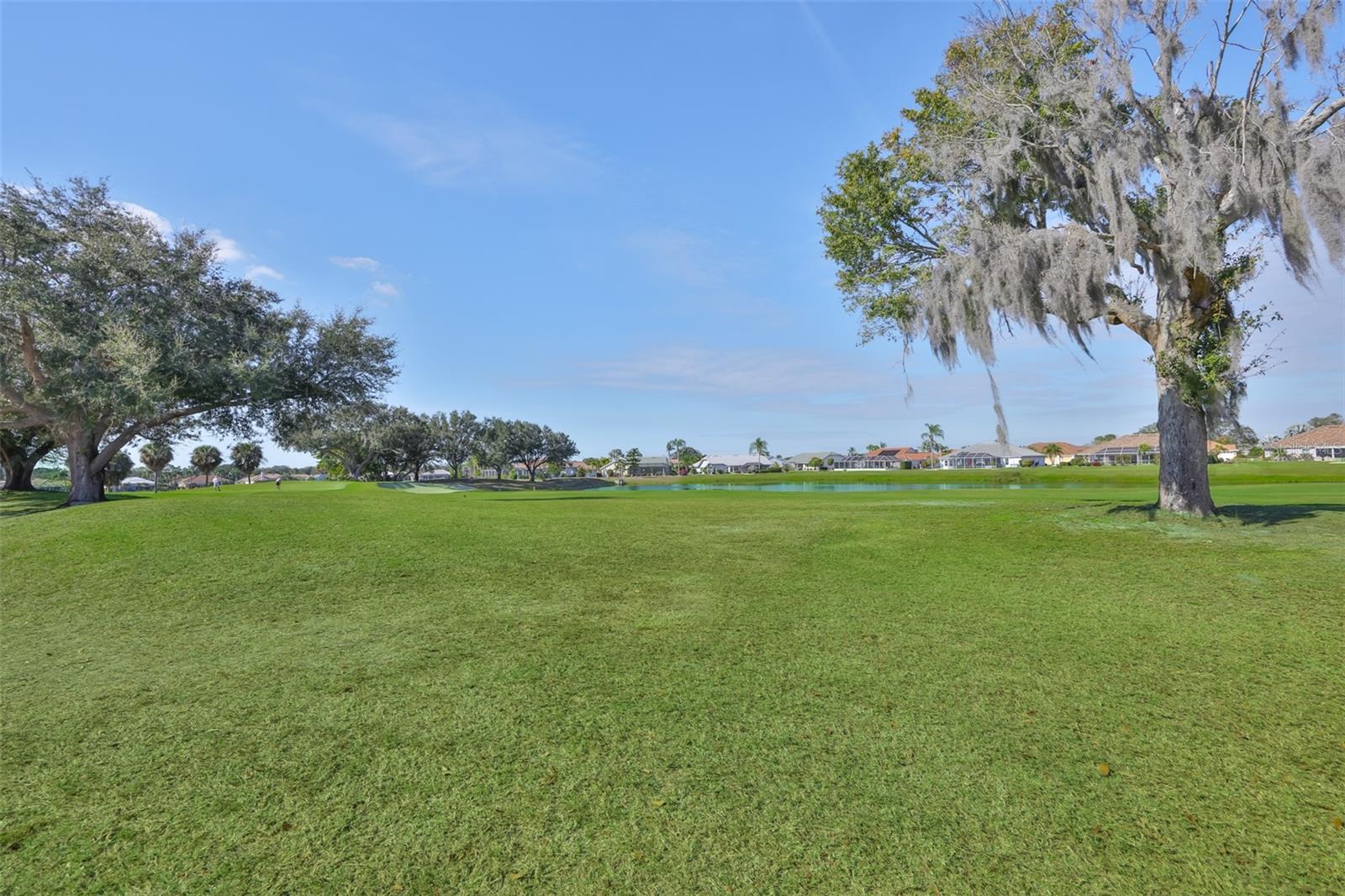 Renaissance Golf Course & Pond View