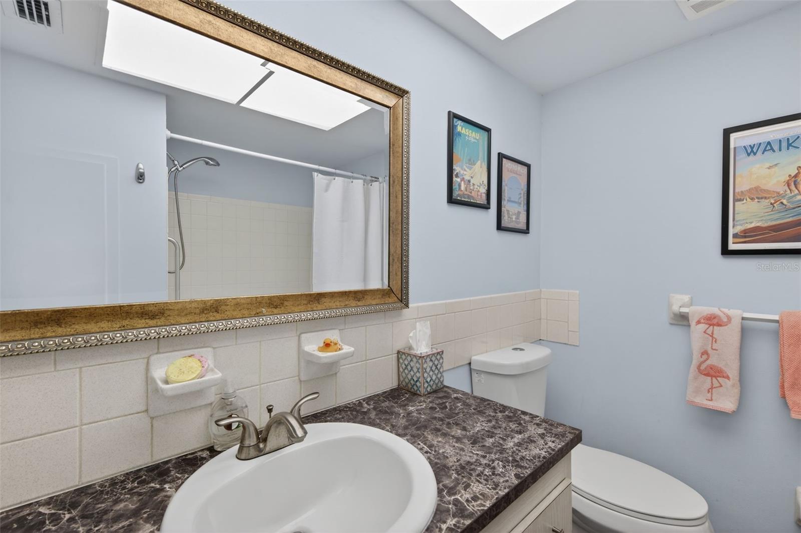 Guest bathroom