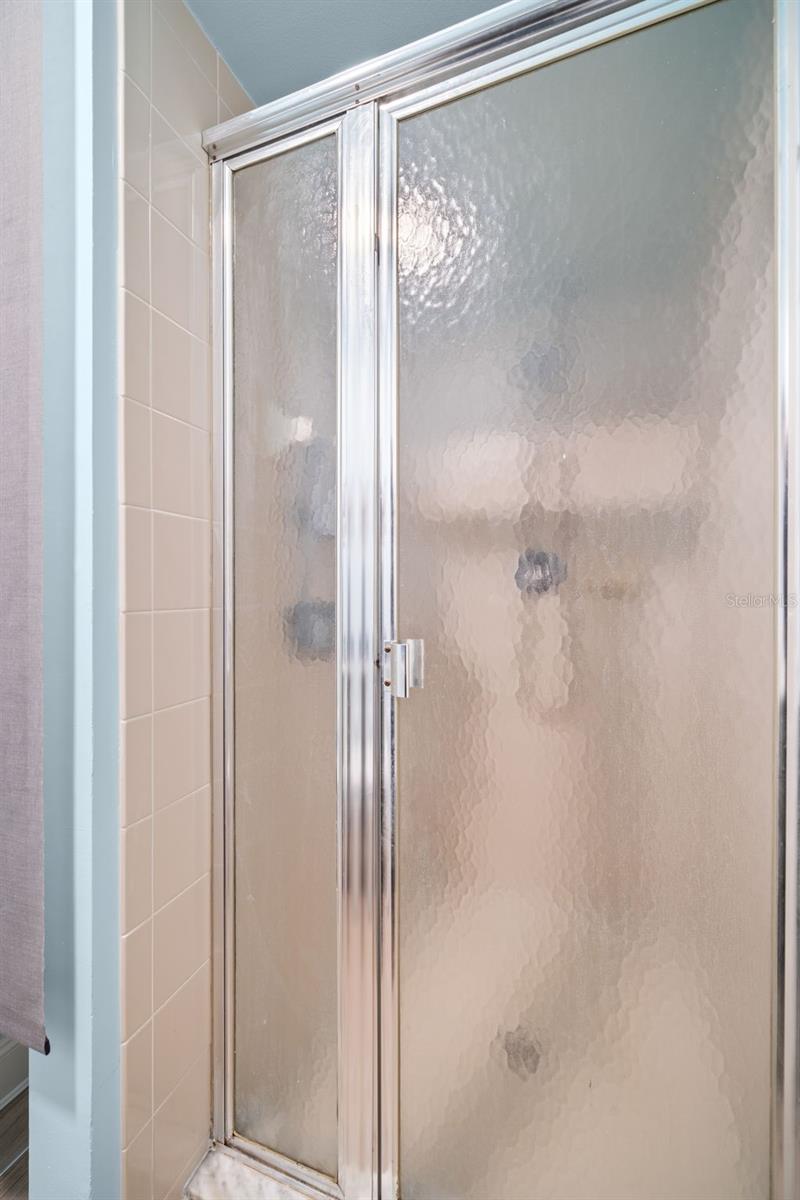 guest bath shower