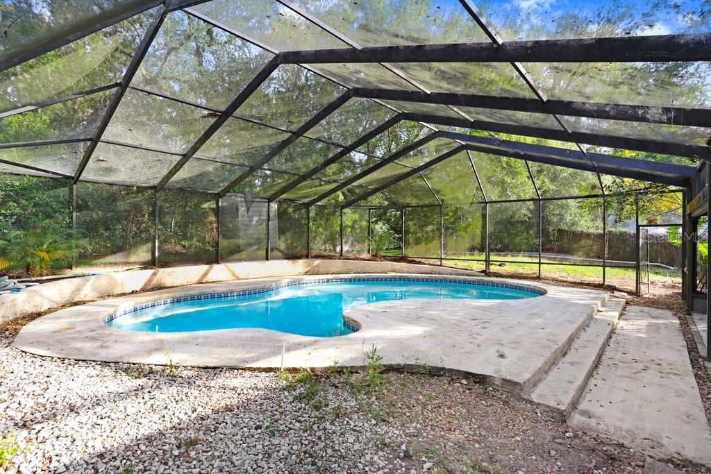 Large pool and patio