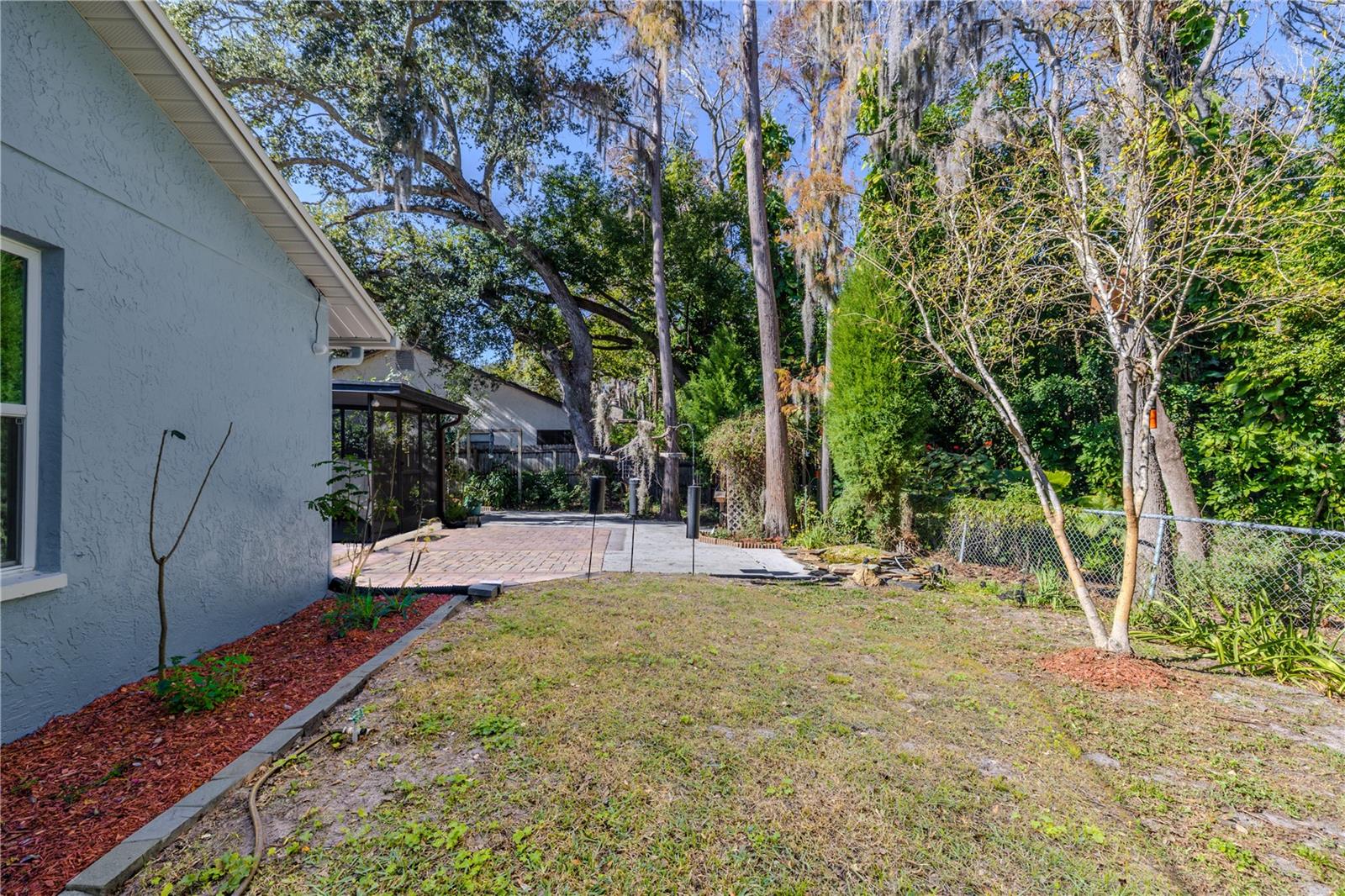 Side yard side view showcasing the spacious lawn and patio area alongside the home, framed by mature trees and lush preserve greenery for a private, peaceful setting.