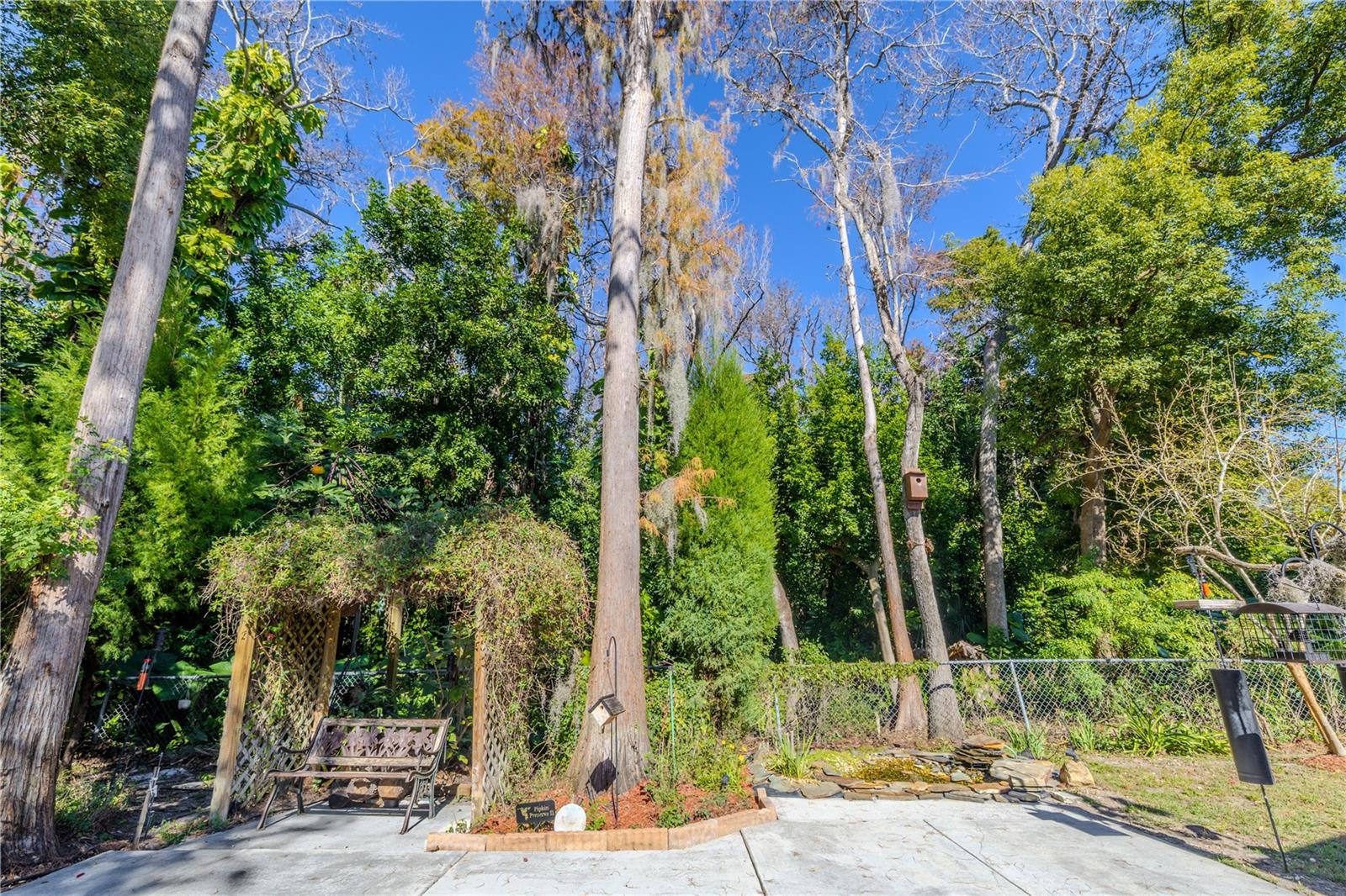 Tranquil backyard sanctuary bordered by a lush preserve, featuring towering mature trees, a charming vine-covered arbor with seating, and a peaceful garden setting perfect for relaxing in nature.