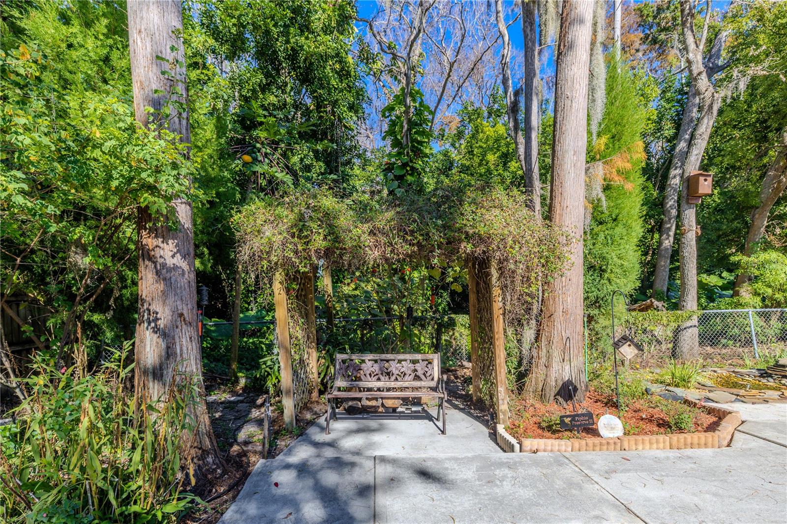 Charming garden sitting area featuring a vine-draped arbor and bench, nestled among mature trees and lush preserve greenery for a peaceful outdoor escape.