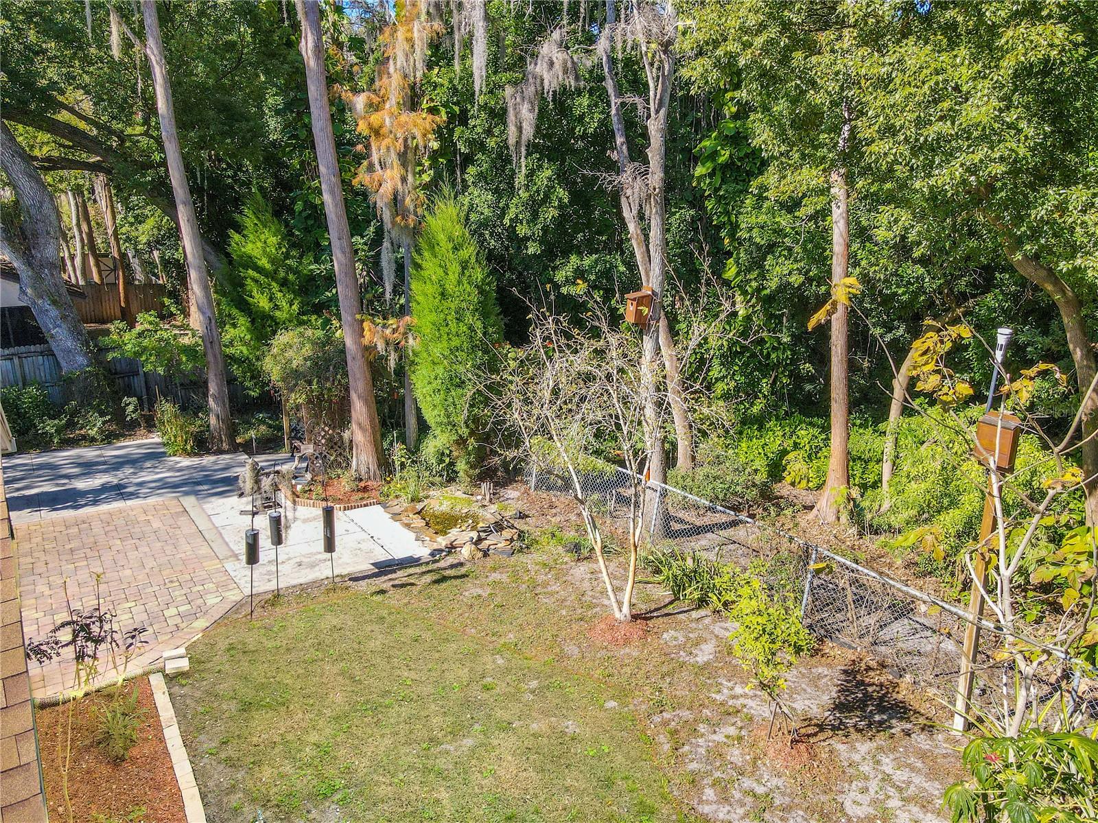 Side yard aerial view of tranquil backyard sanctuary bordered by a lush preserve, featuring towering mature trees, a charming vine-covered arbor with seating, and a peaceful garden setting perfect for relaxing in nature.