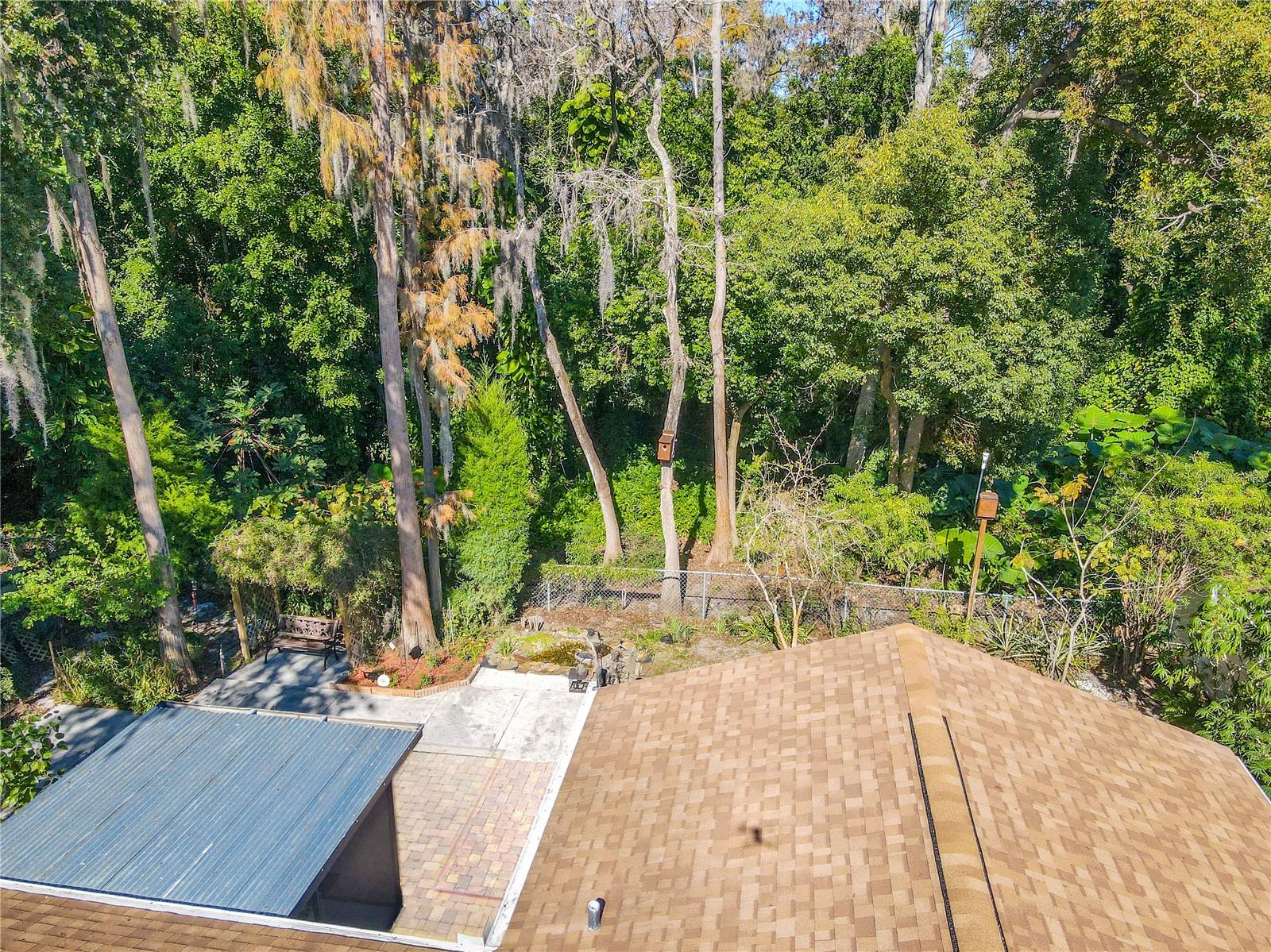 Front facing aerial view of tranquil backyard sanctuary bordered by a lush preserve, featuring towering mature trees, a charming vine-covered arbor with seating, and a peaceful garden setting perfect for relaxing in nature.