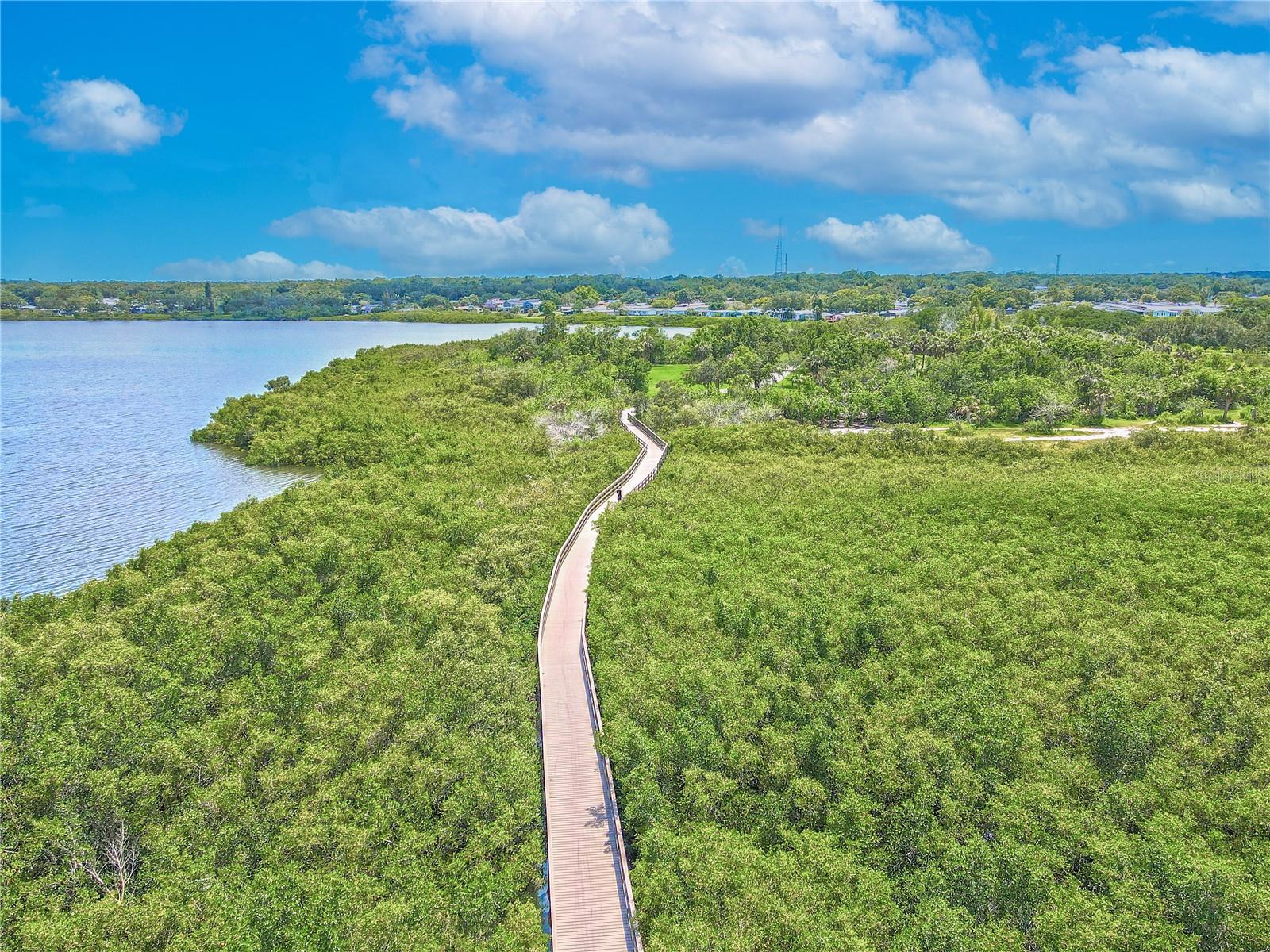 Oldsmar Trail offers an incredible boardwalk experience through lush mangroves with breathtaking views along the water—perfect for biking, walking, and nature lovers.