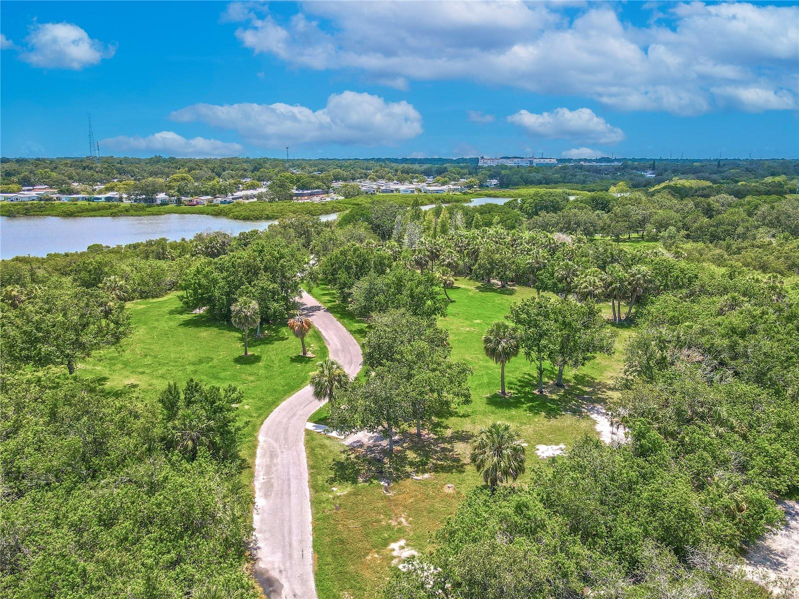 Harbor Palms Nature Park offers a scenic escape with winding trails, open green space, and beautiful water views—perfect for walking, biking, and enjoying Oldsmar’s outdoors.