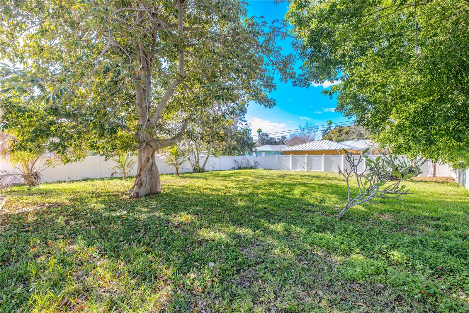 Spacious fenced backyard with mature shade trees and plenty of open green space—perfect for outdoor entertaining, pets, or a future garden oasis.