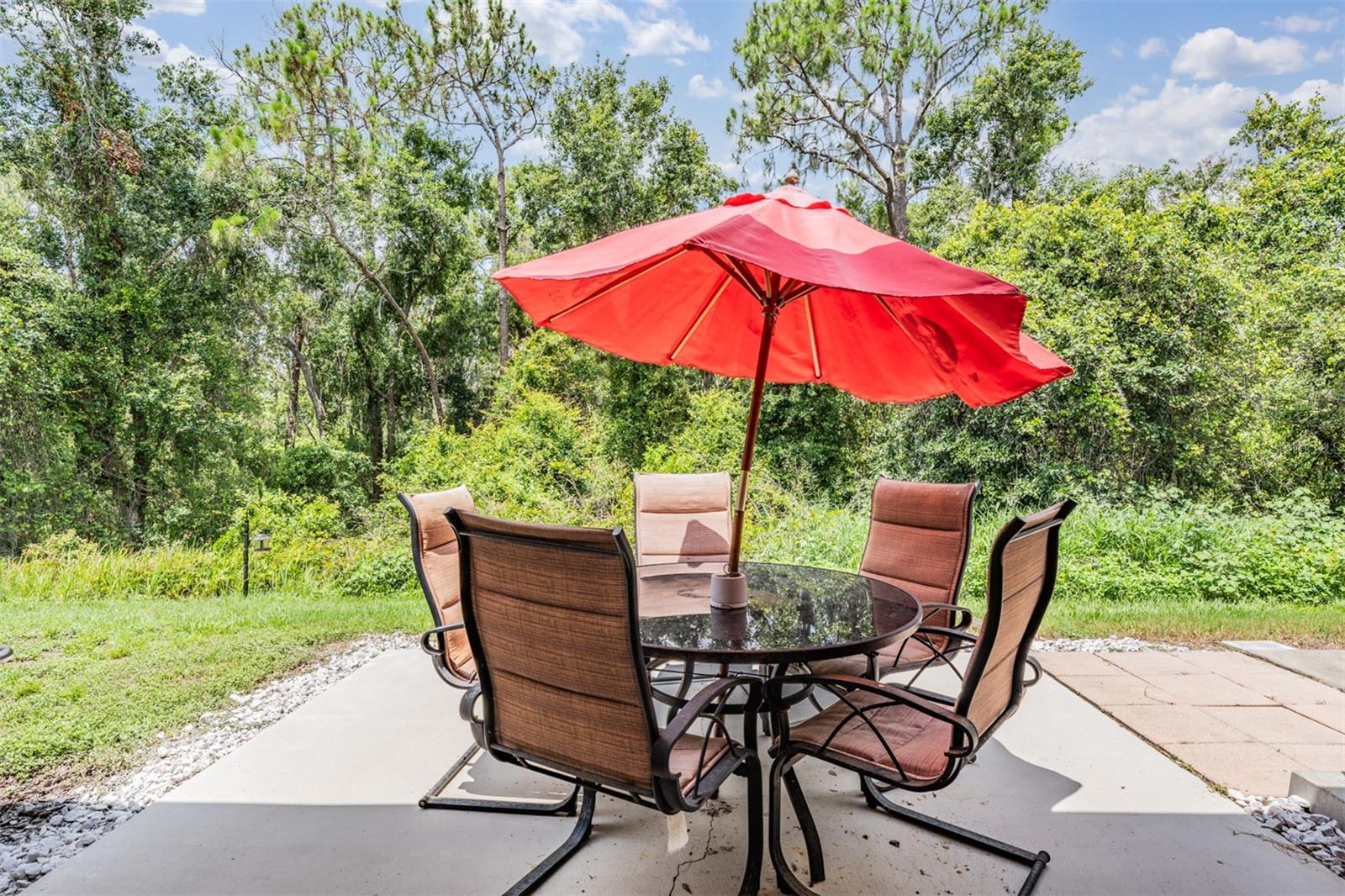 Patio (Conservation View)