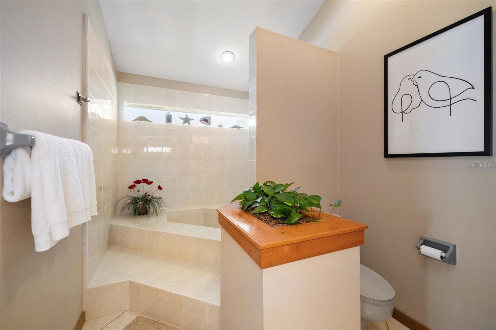 Primary bath with tub/shower