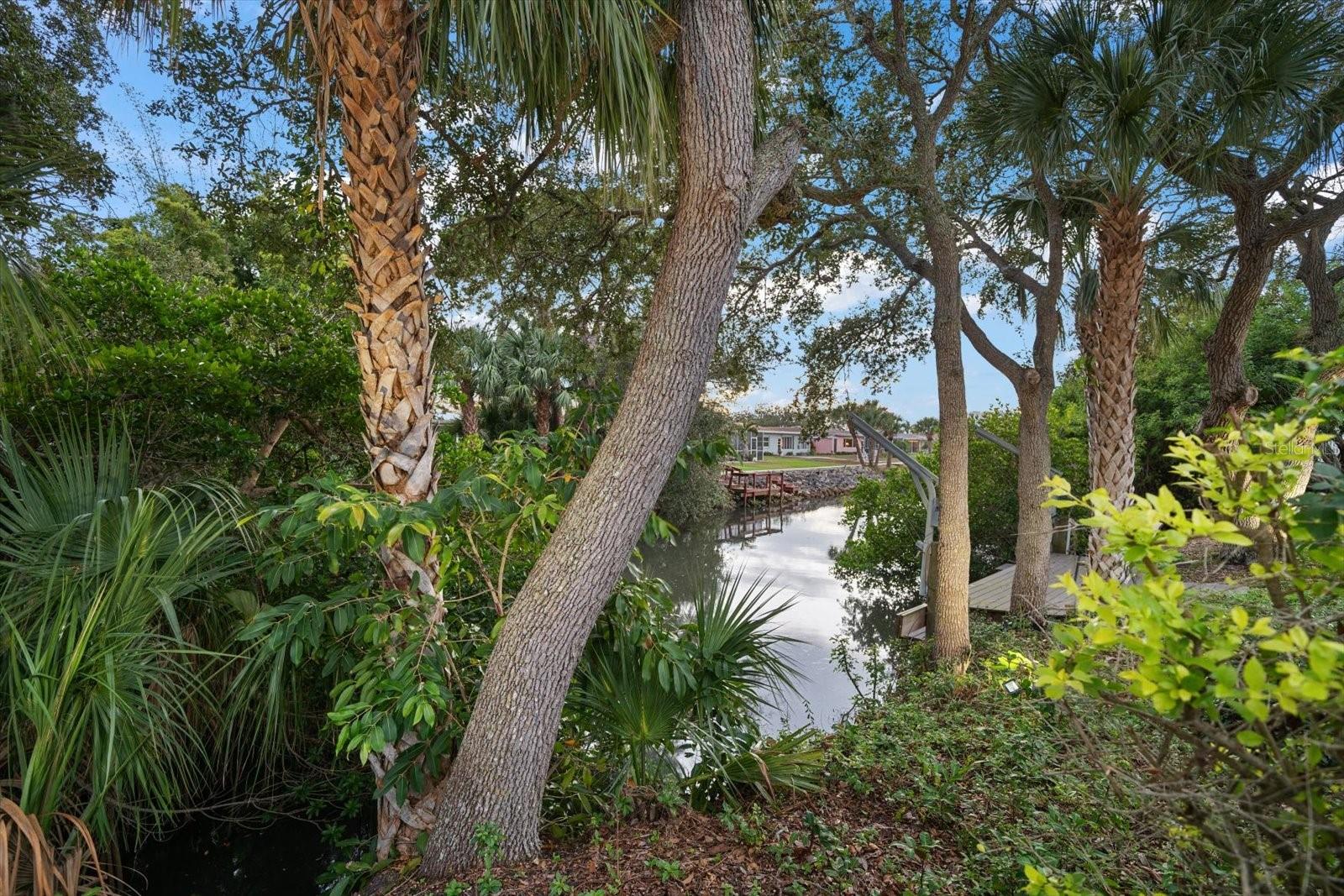 Scenic natural back yard.
