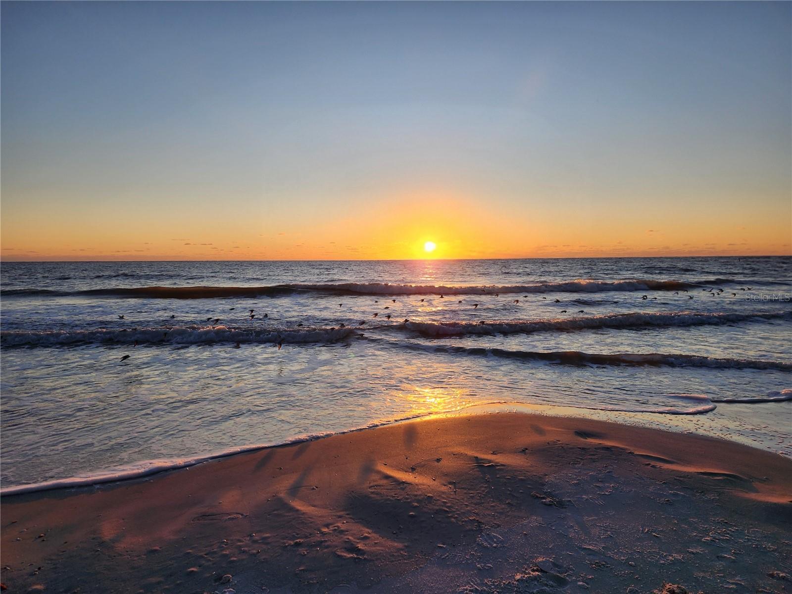 Island Beach, just a short walk away.