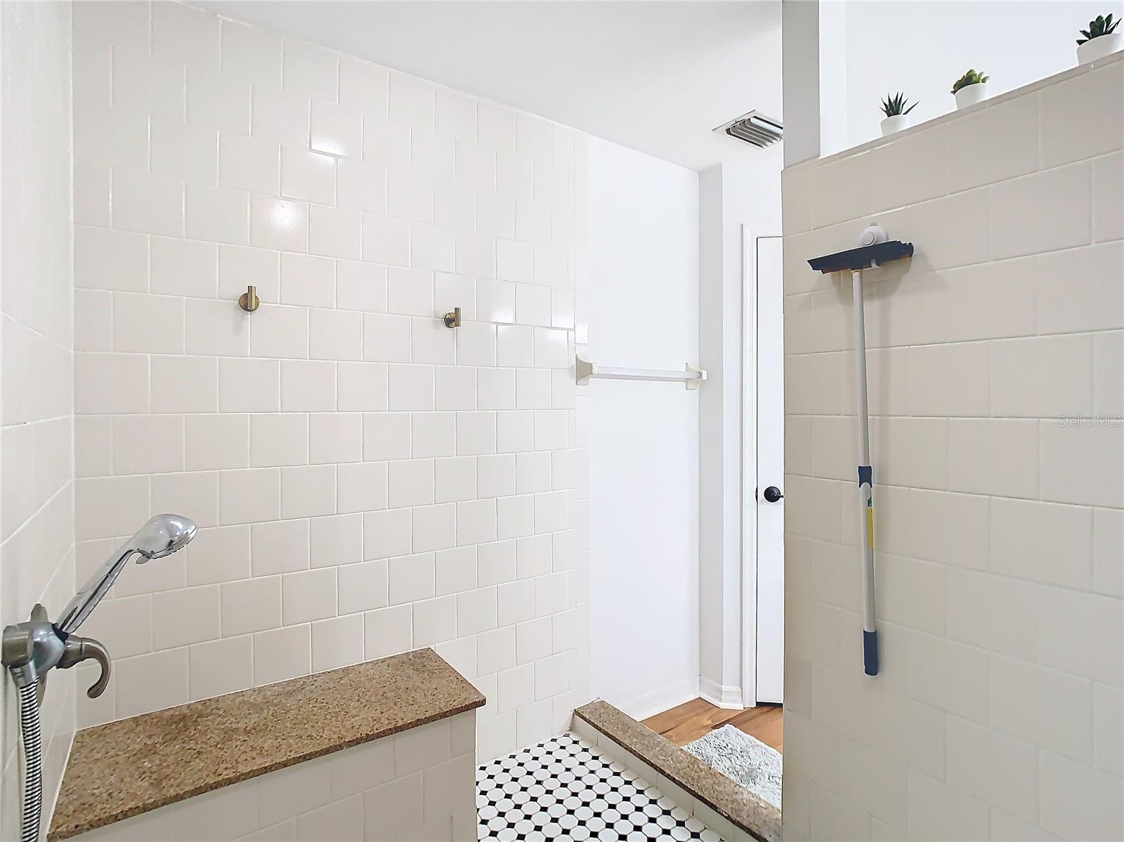 Master Bath Shower With Seat