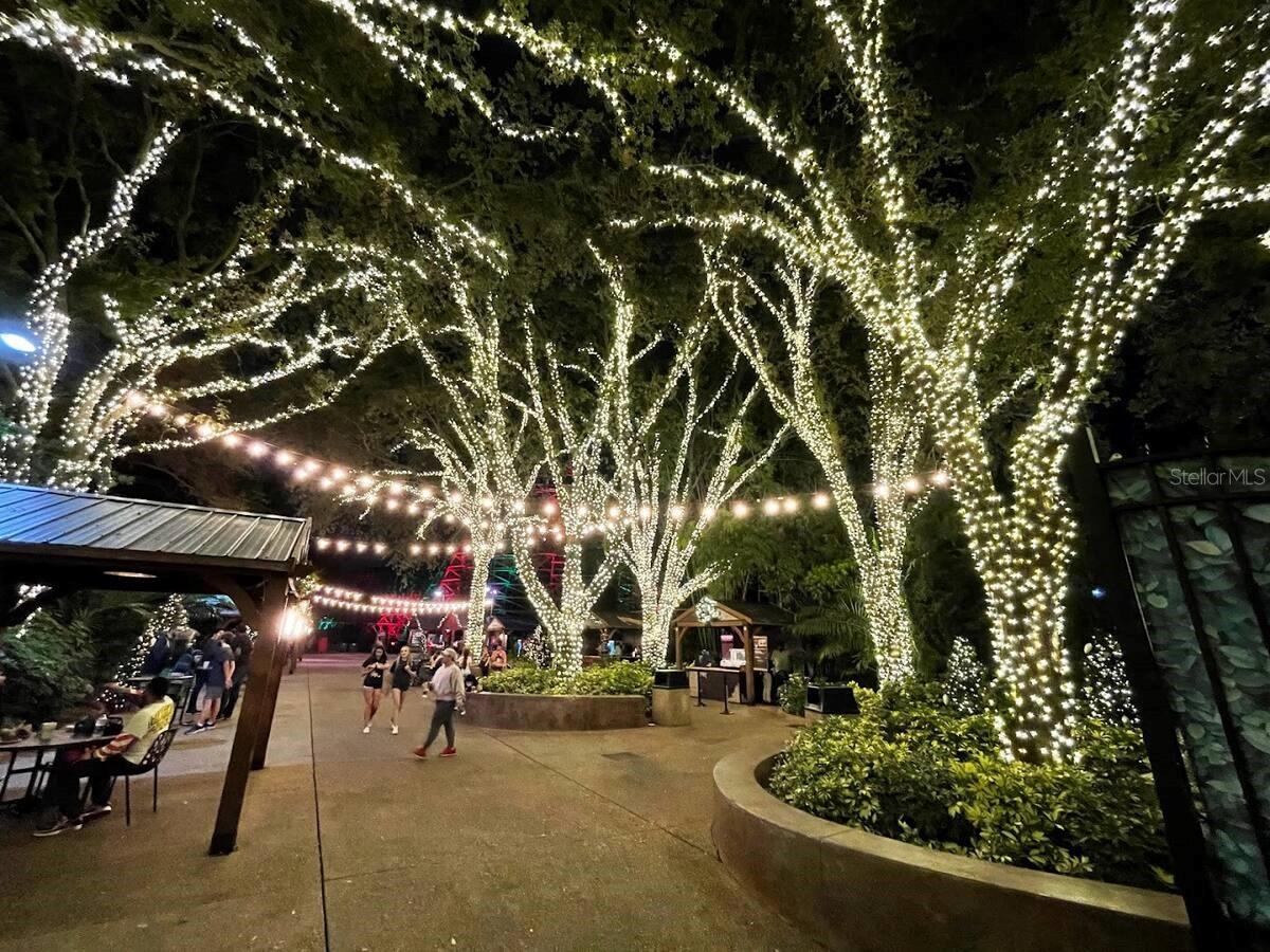 so many waterfront restaurants of Catches Waterfront Grille and Whiskey Joe's Port Richey and so onCatches Waterfront Grille