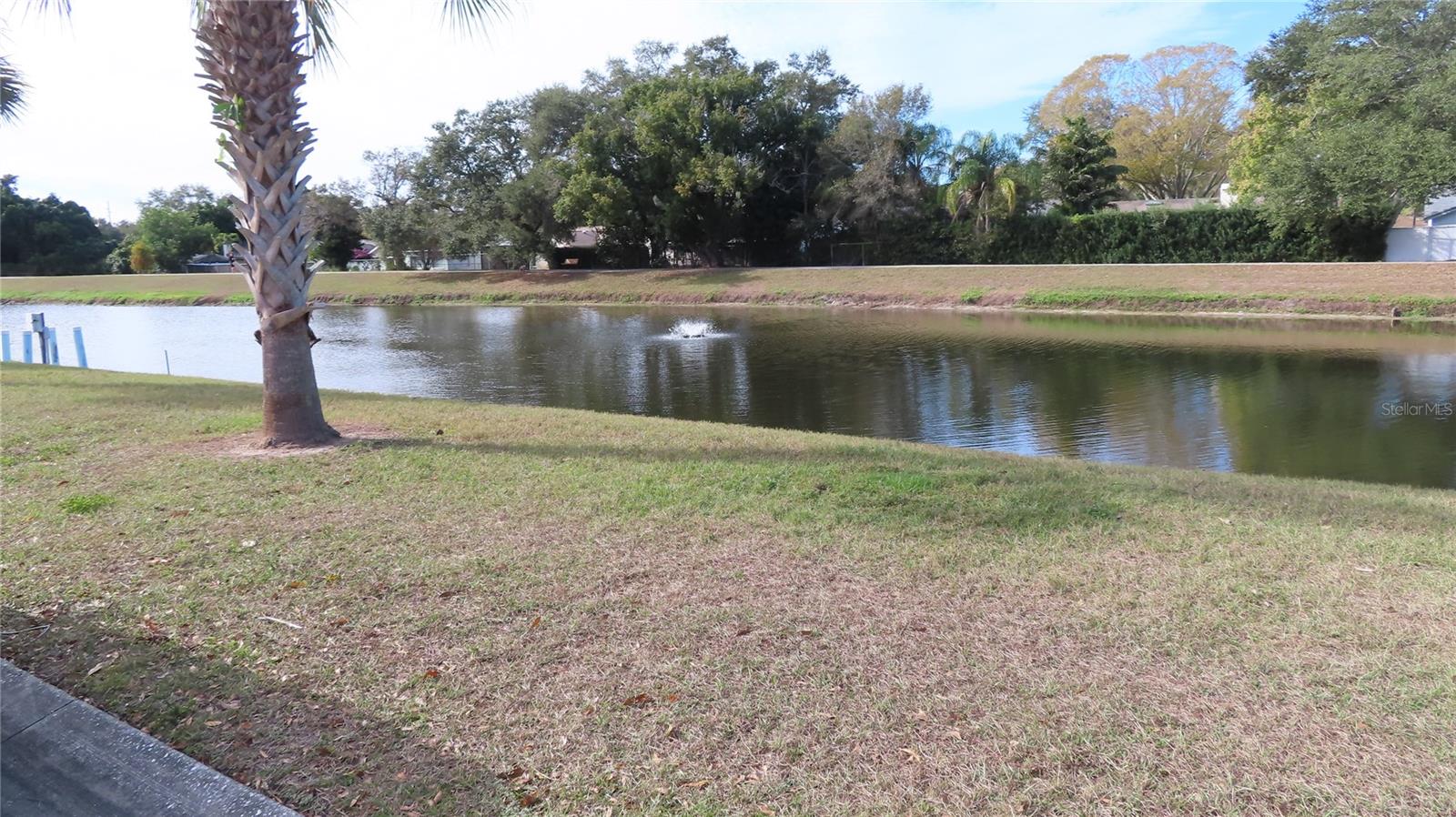 View of water from the front