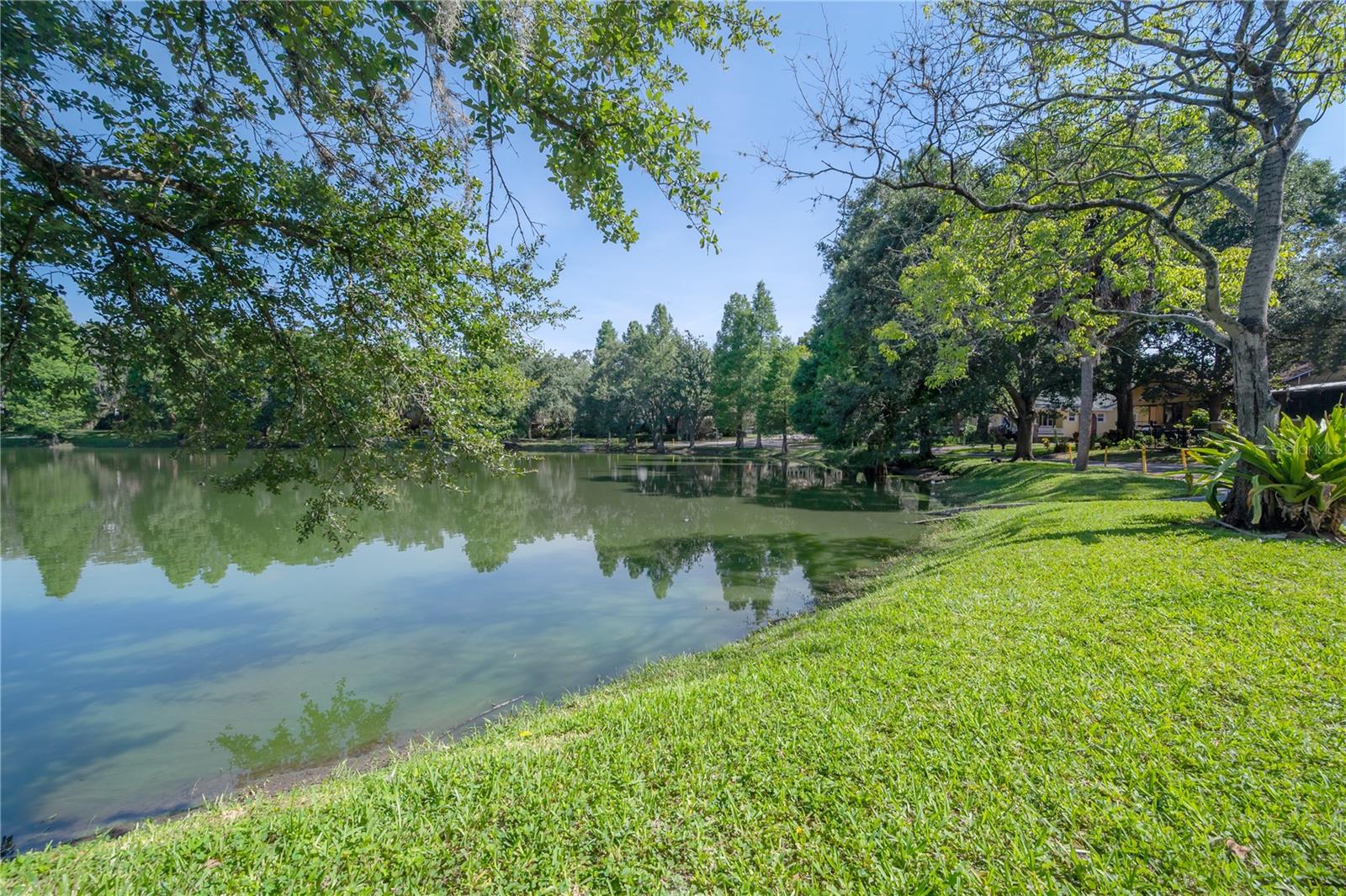 Hampton Terrace Neighborhood, Lake Roberta in Seminole Heights