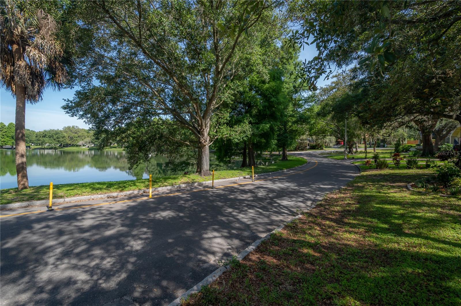 Hampton Terrace Neighborhood, Lake Roberta in Seminole Heights