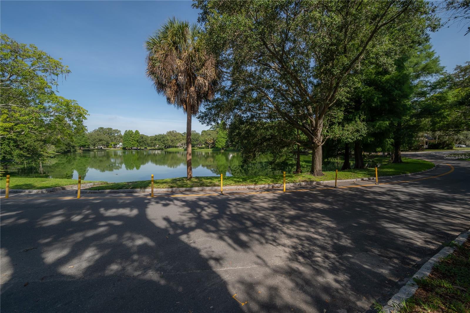 Hampton Terrace Neighborhood, Lake Roberta in Seminole Heights