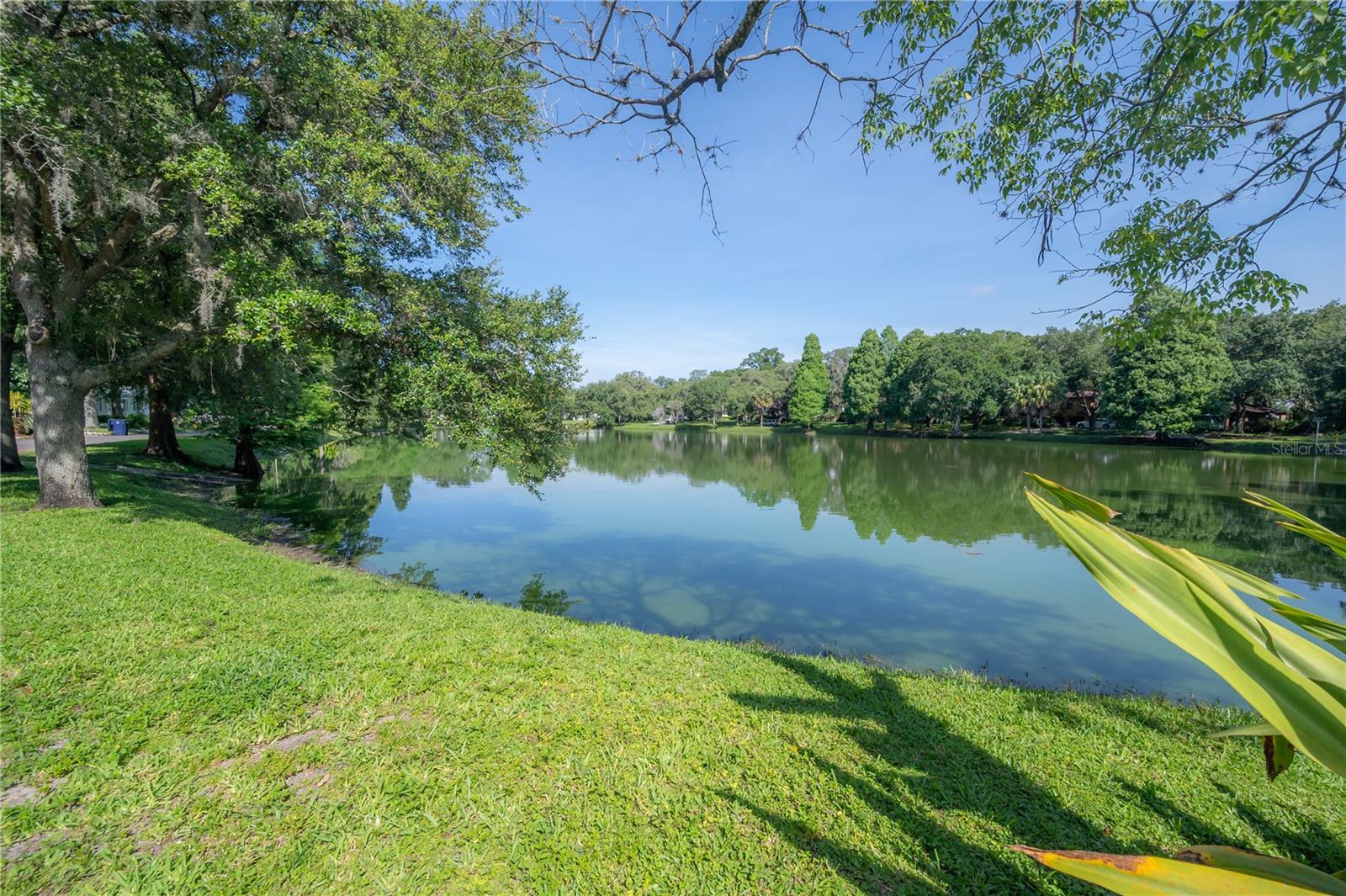 Hampton Terrace Neighborhood, Lake Roberta in Seminole Heights