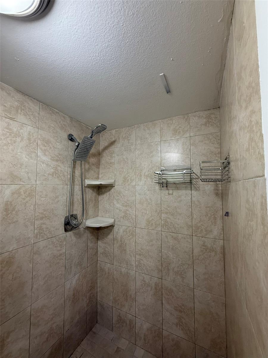 Master Bath Shower