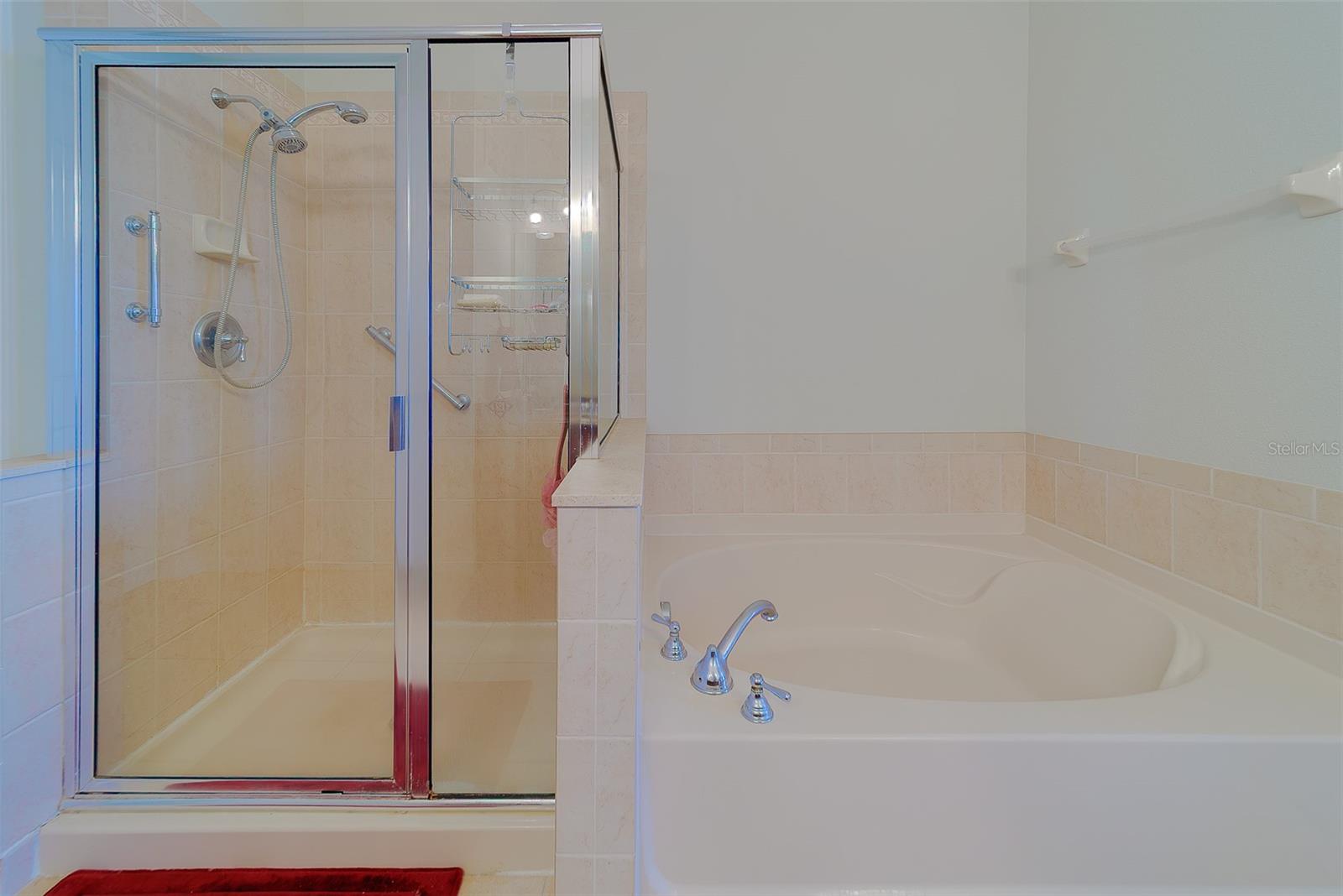 Tub and Separate Shower Clean and Pristine