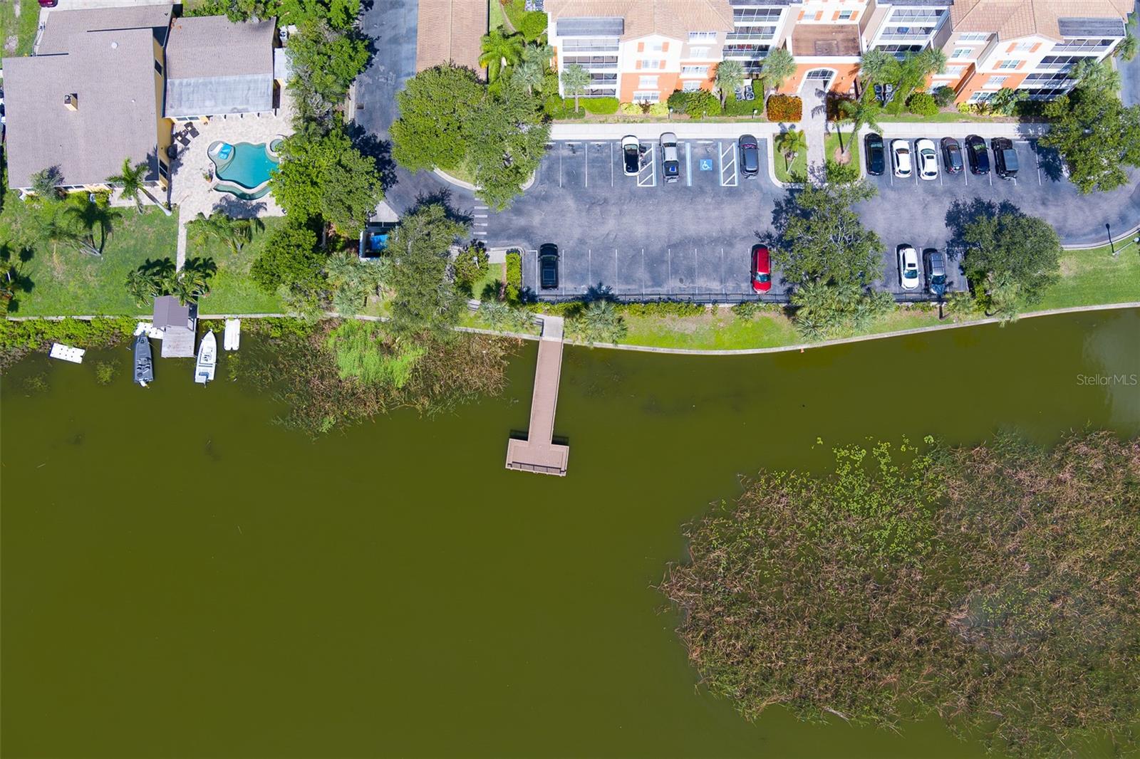 Dock on Lake Seminole