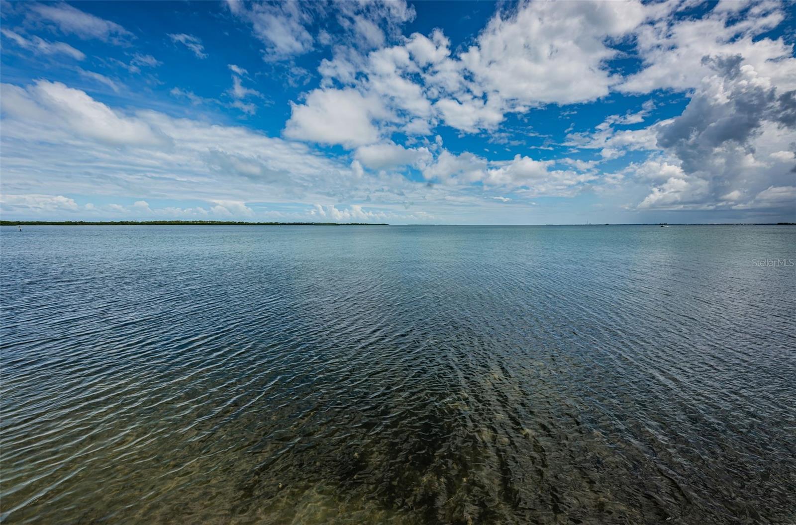 Clubhouse Patio View