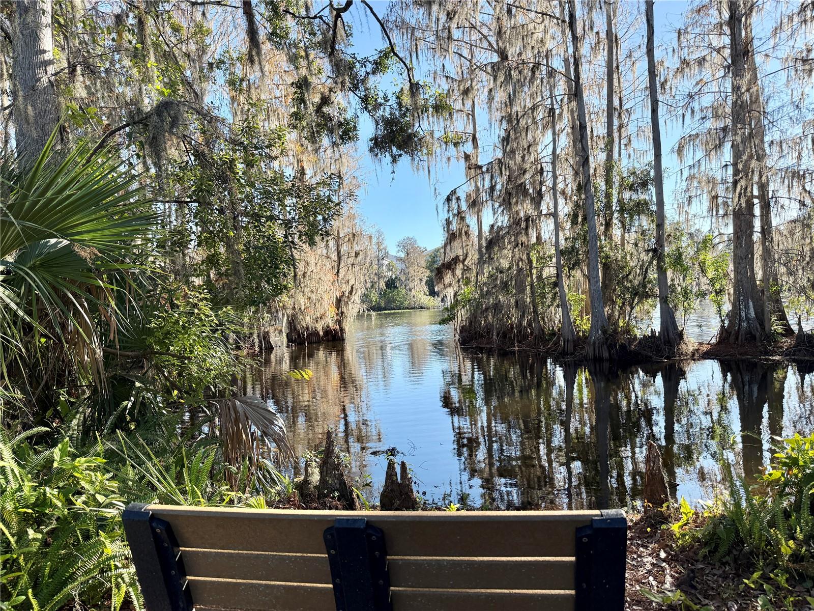 View within the West River Preserve Park