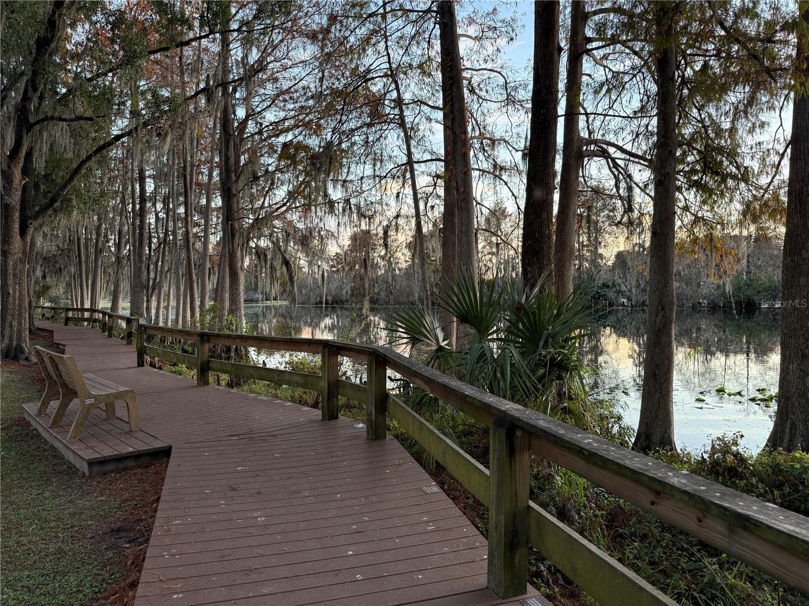 Boardwalk at Riverhills Park - just down the road.
