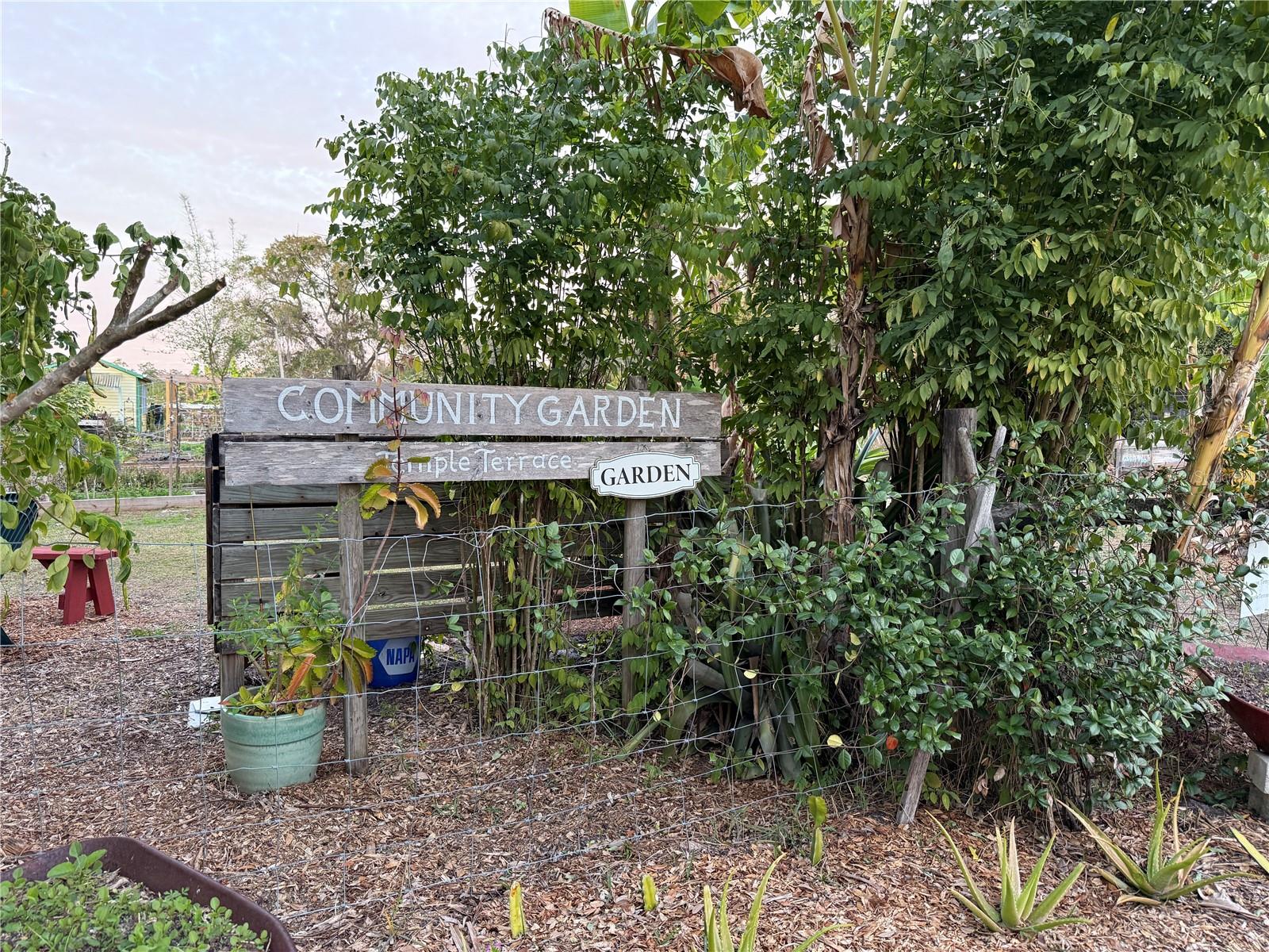 Nearby Community Garden