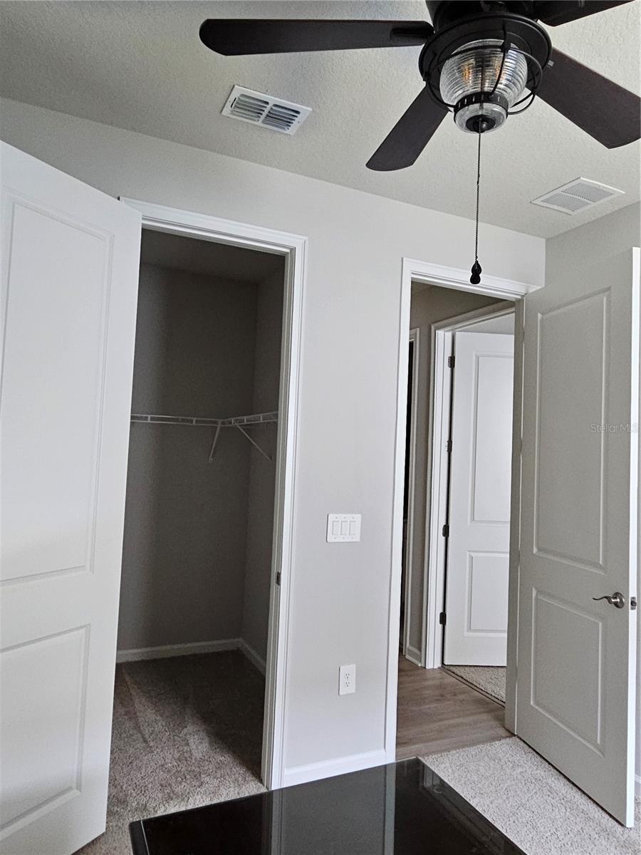 Guest BR walk-in closet